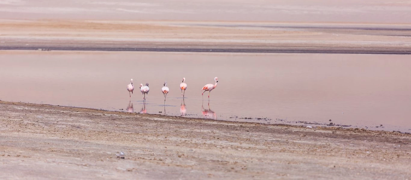 Αυτό το ήξερες; - Ποιο είναι το αρχαιότερο χρώμα στον κόσμο;